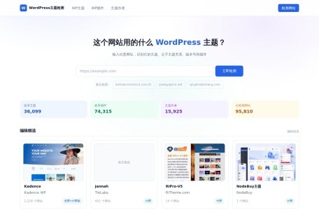 WordPress主题检测