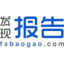 发现报告