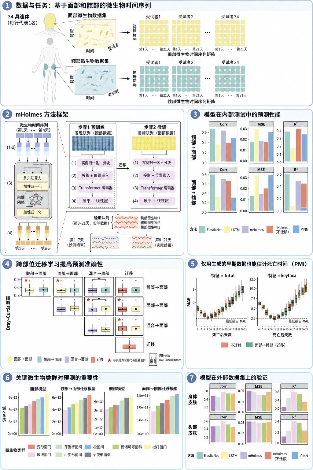 法医新助手：新的AI系统可以推算 死亡 时间